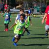 Academy Soccer League (4-12yrs)