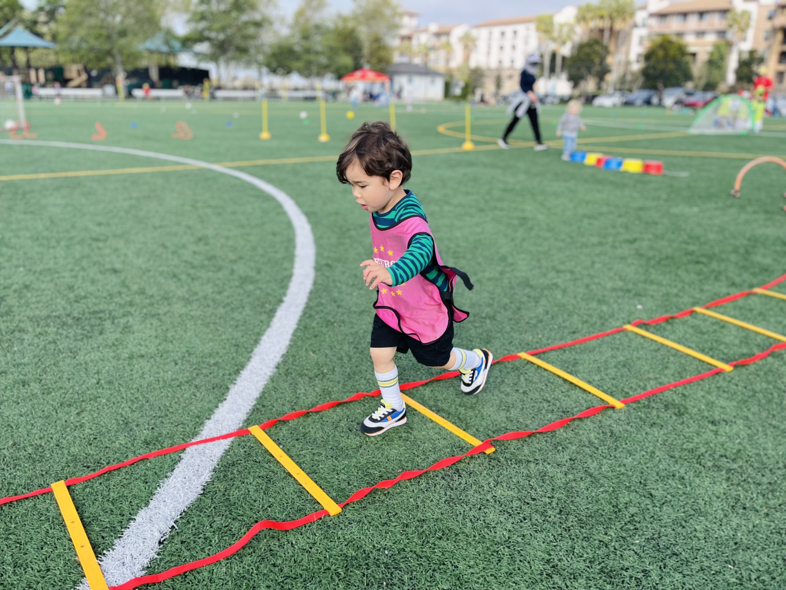 IMG_5330 IMG 5330 scaled