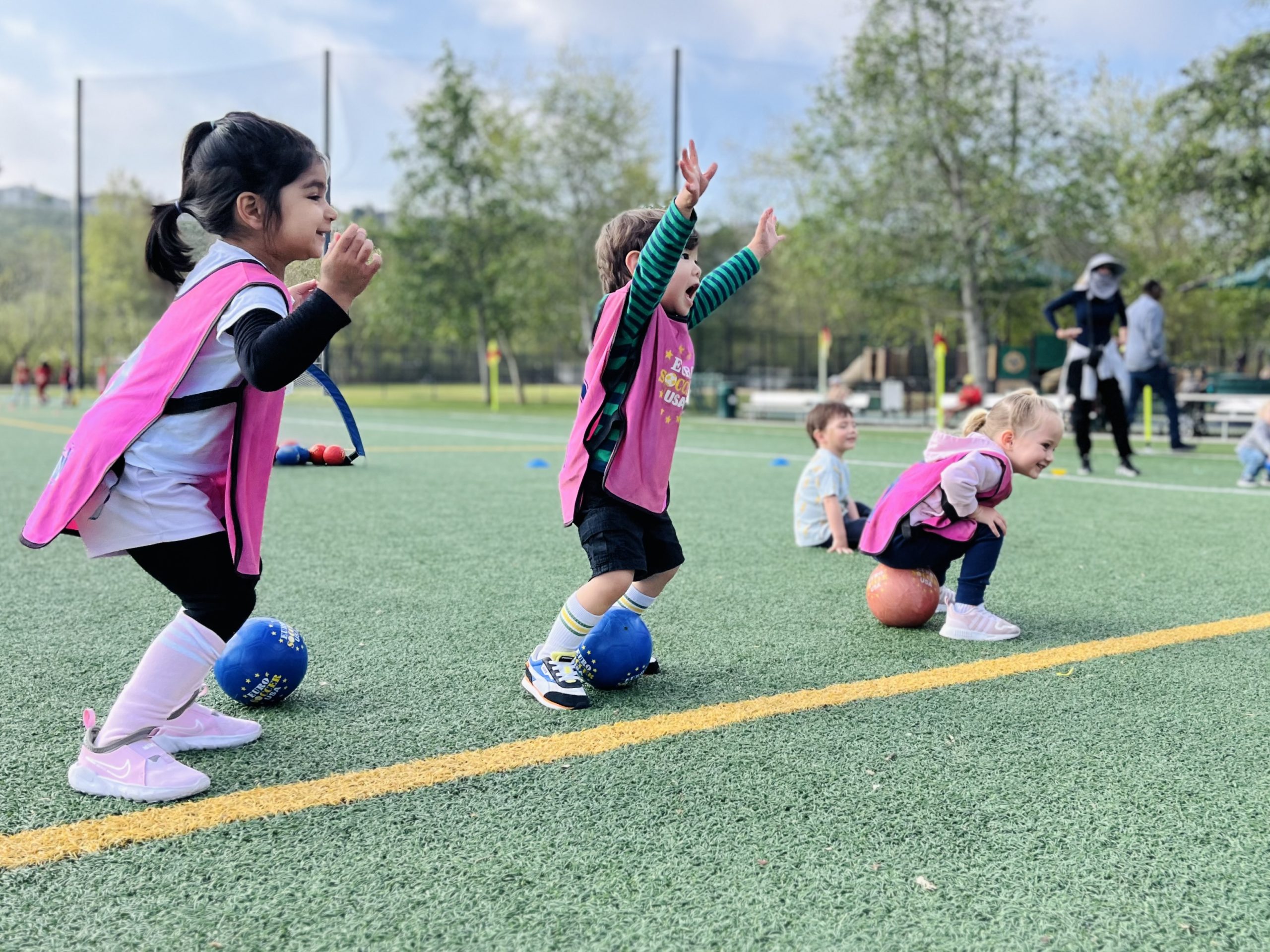 IMG_5343 IMG 5343 scaled