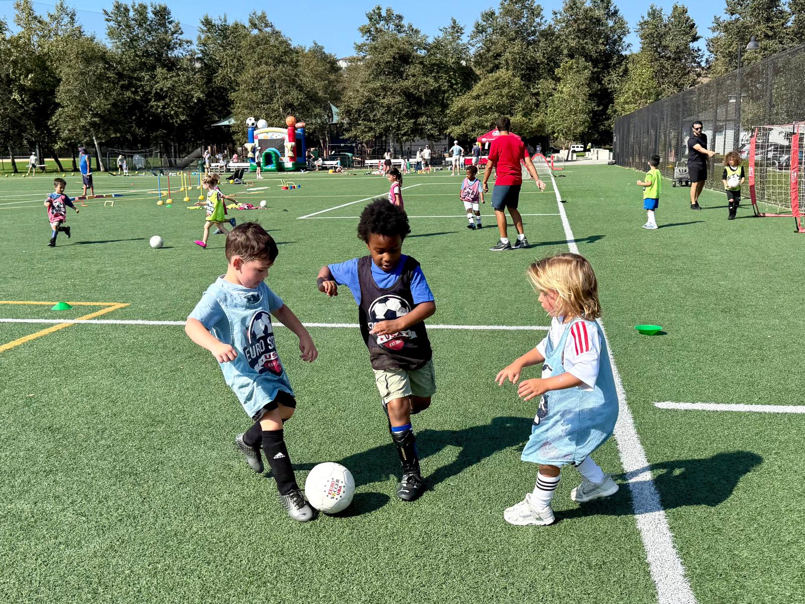 WhatsApp Image 2025-08-25 at 23.46.39 (3) WhatsApp Image 2025 08 25 at 23.46.39 3