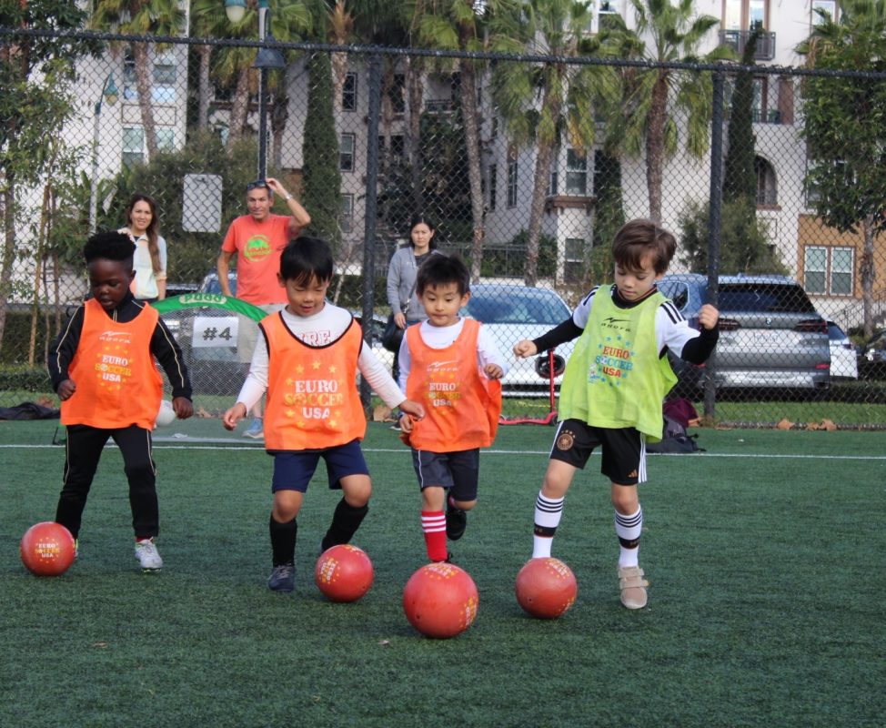 Euro Soccer USA
